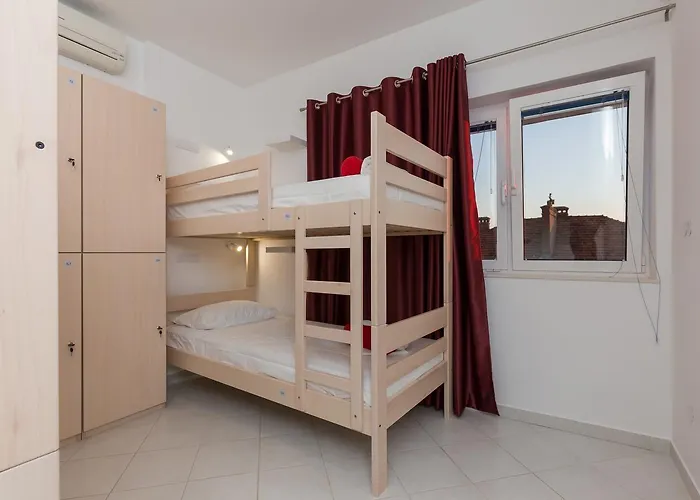 Hostel Free Bird